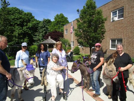 staff and residents with donkeys