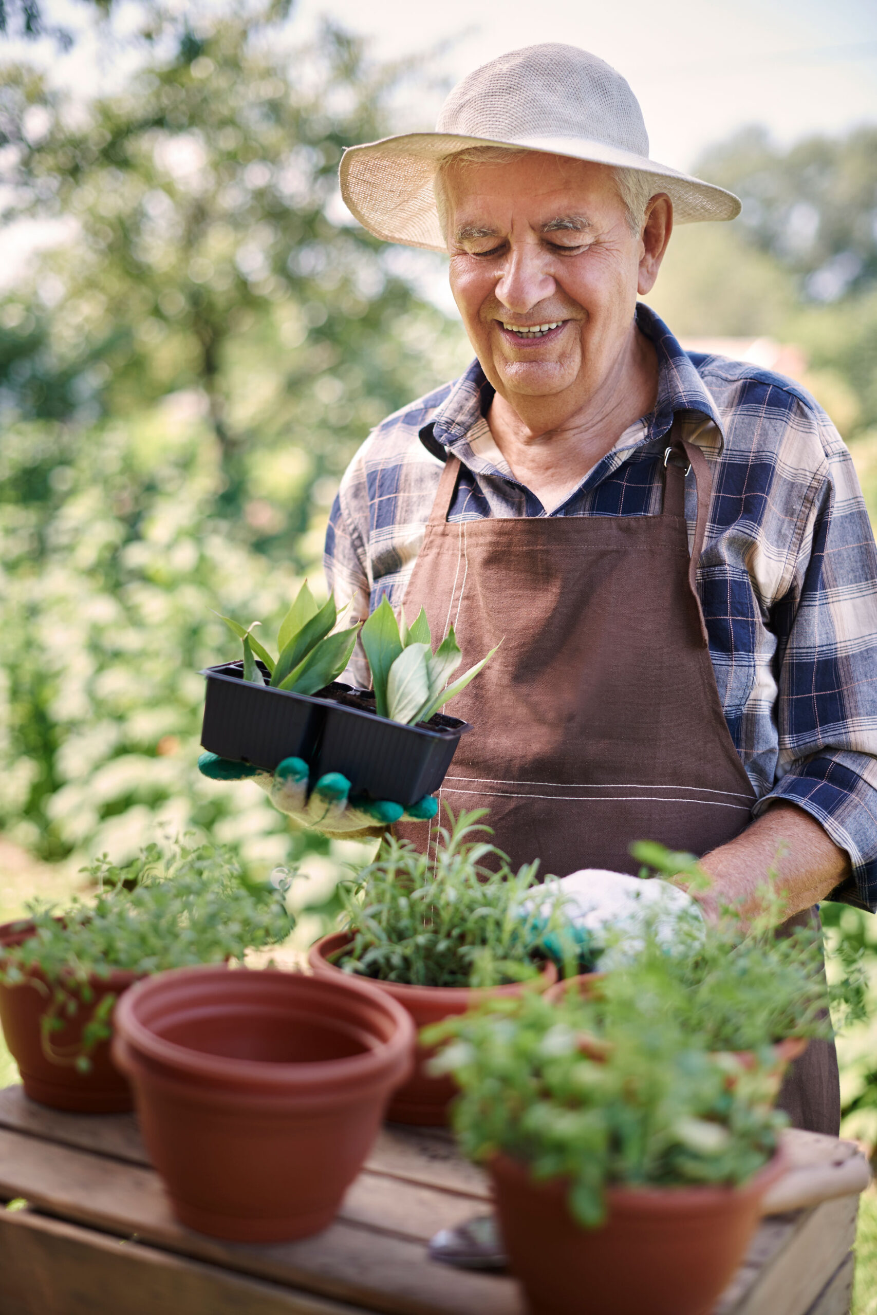 Elderly man gardening