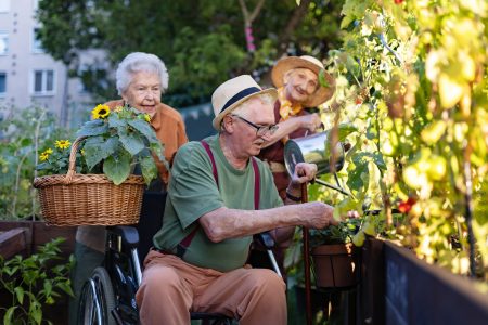 Senior Citizens Gardening